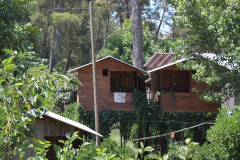 Property building, Photo of the whole room