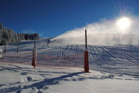 Chalet Petit Pierre Les Gets - Mountain Voyages Chalet in Les Gets