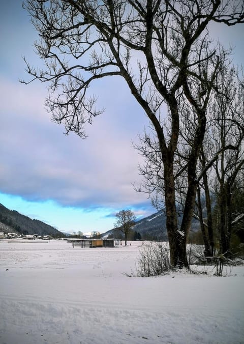 Apartmaji Volf Apartment in Bled