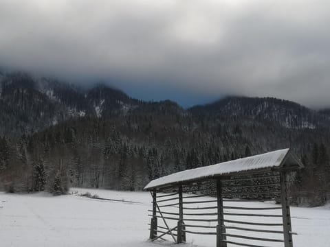 Apartmaji Volf Apartment in Bled