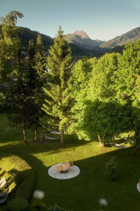 Garden, Mountain view