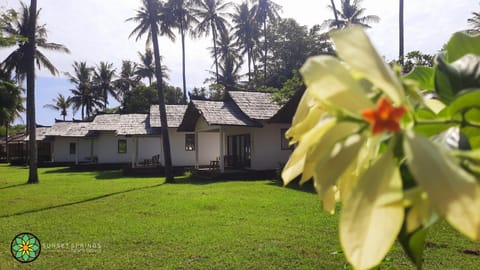 Property building, Garden, Garden
