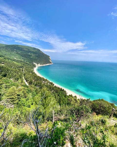 Natural landscape, Beach, Sea view