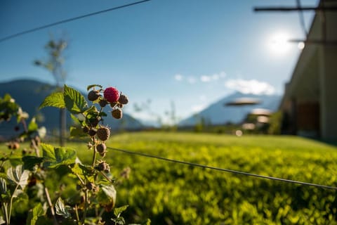 Garden, View (from property/room)