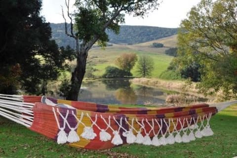 Lake view
