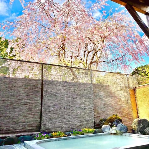 Spring, Hot Spring Bath, Open Air Bath