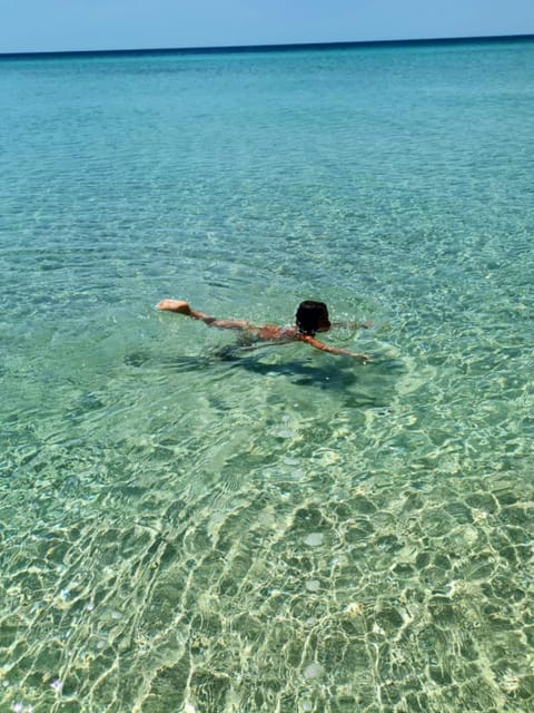 Day, Natural landscape, Beach