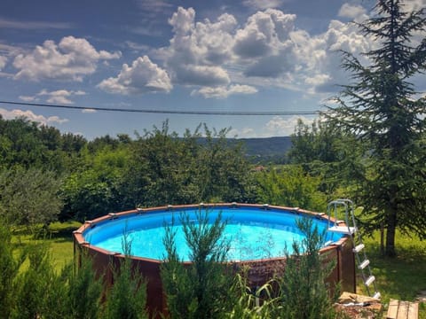 Day, Natural landscape, Garden, Garden view, Swimming pool