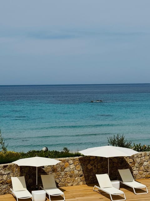 Résidence Dary Apartment hotel in L'Île-Rousse