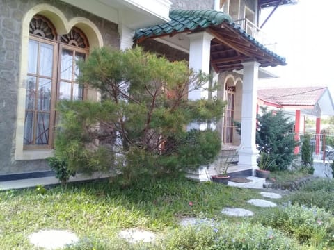 Property building, Garden view