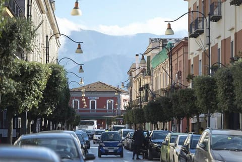 City view, Street view