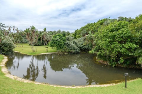 Lake view
