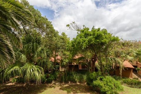 Garden, Garden view
