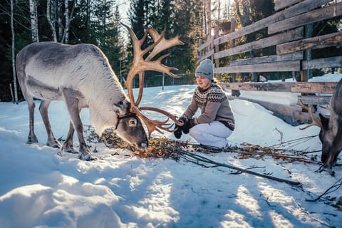 Valkeisen Loma Farm Stay in Finland