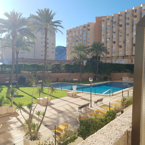 Garden, Pool view