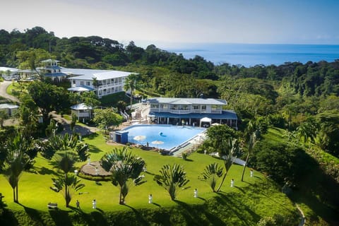 Bird's eye view, Swimming pool
