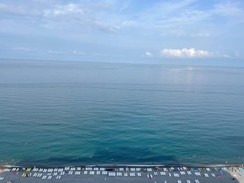 Natural landscape, Beach, Sea view