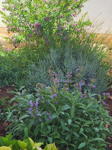 Slanac 2 Apartment in Zadar County