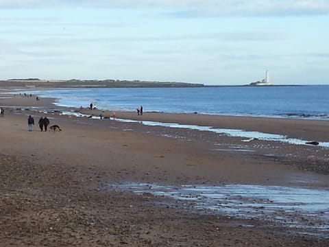 View (from property/room), Area and facilities