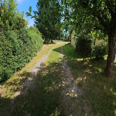 Natural landscape, Garden view