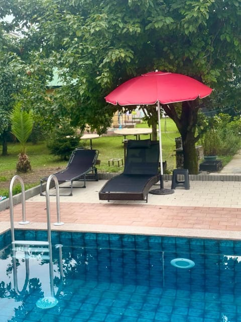 Day, Garden, Garden view, Pool view, Swimming pool, Swimming pool, sunbed