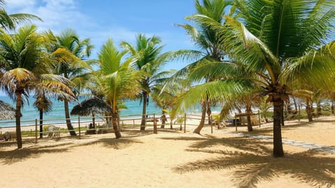Beach, On site, Sea view
