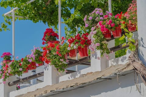 Property building, Balcony/Terrace