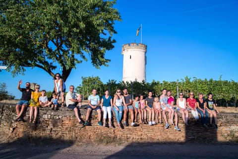 Nearby landmark, Natural landscape, Landmark view, group of guests