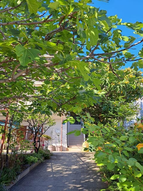 Inner courtyard view
