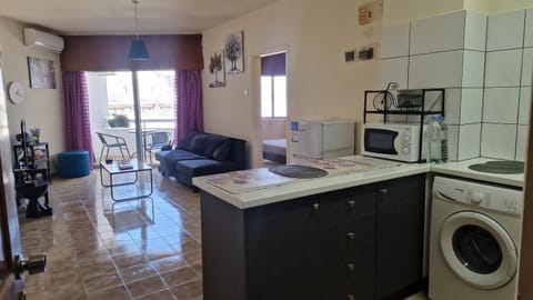 Living room, Photo of the whole room, Seating area, Dining area, washing machine