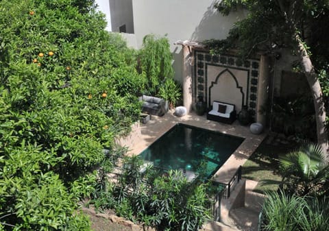 Day, Garden, Garden view, Pool view, Swimming pool, Swimming pool