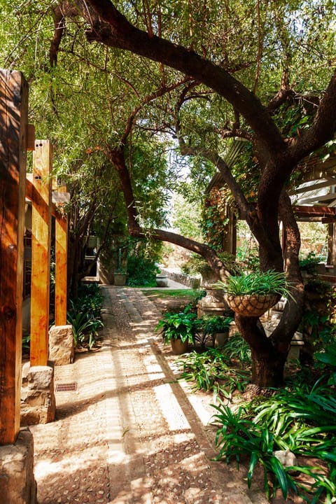 Garden view