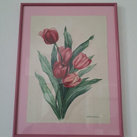 Appartamento Mimma Apartment in Stresa