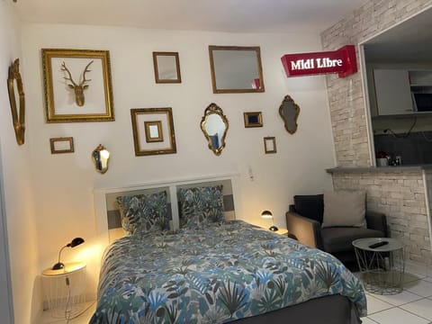 Studio Triangle Arêne Gare Maison Carrée Placette Apartment in Nimes