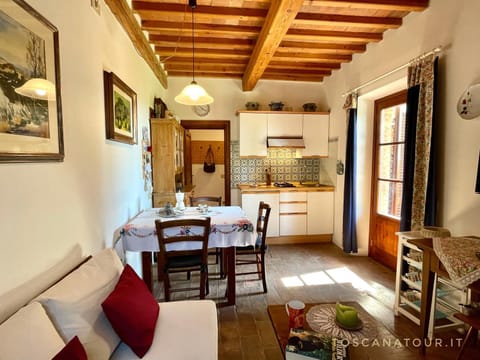 Garden, Kitchen or kitchenette, Living room, Photo of the whole room, Dining area, Garden view