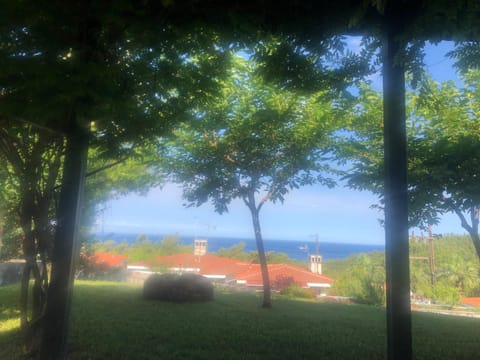 View (from property/room)