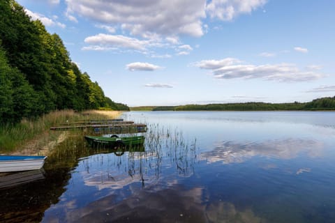 Lake view