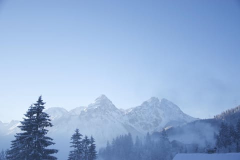 Winter, Mountain view