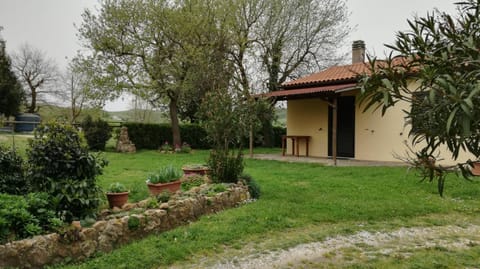 Property building, Garden