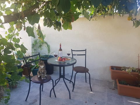 Garden, Balcony/Terrace
