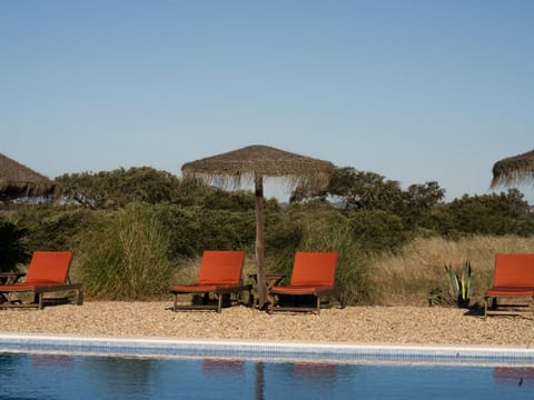 Natural landscape, Swimming pool, sunbed