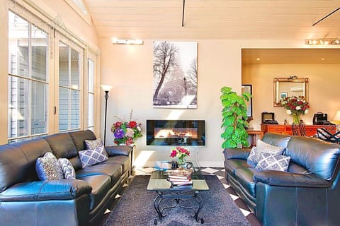 Communal lounge/ TV room, Seating area, Meeting/conference room, fireplace