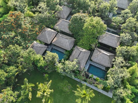 Bird's eye view, Swimming pool