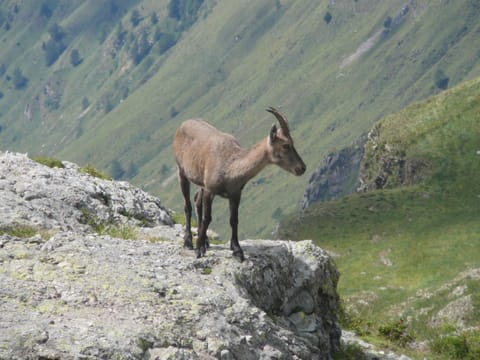 Lullaby B&B Apartment in Province of Lecco