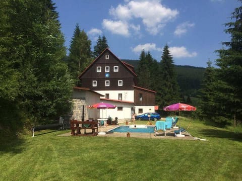 Property building, Natural landscape, Garden, Seating area, Swimming pool, sunbed