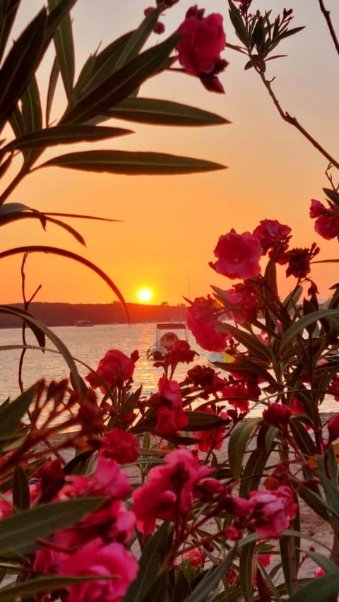 Apartmani Roxy Apartment in Dubrovnik-Neretva County