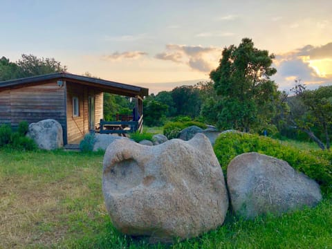 Natural landscape, Garden, Garden view
