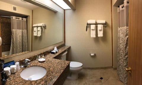 Shower, Toilet, Bathroom, Bath