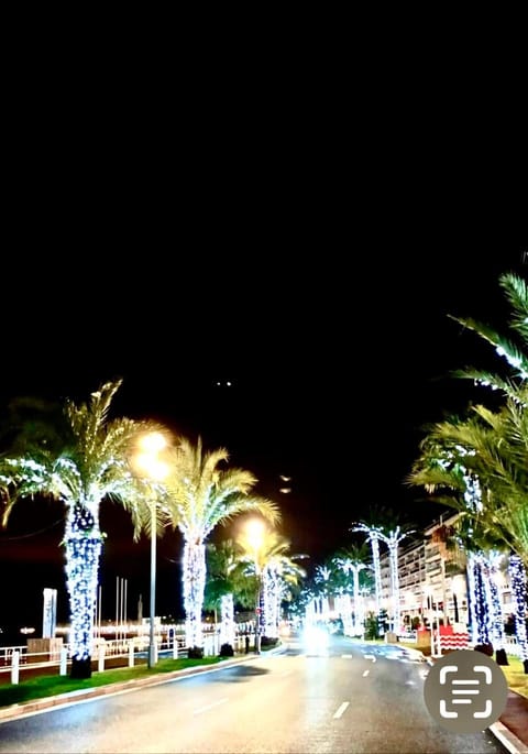 France Nice Promenade Des Anglais 80m² Piano Apartment in Nice