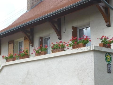 Gîte de charme à Amboise avec cour privée, proche des châteaux et vignobles, parfait pour 4 pers. - FR-1-381-55 House in Amboise